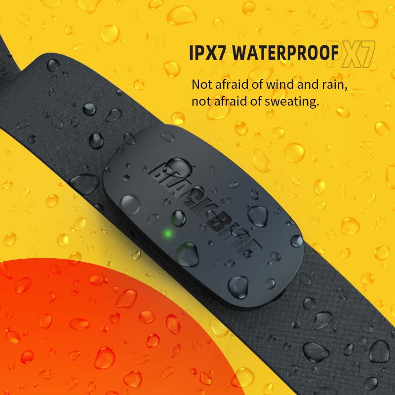 BlackBird HR1 Heart Rate Senso - Breath Rate Monitor recension och pris